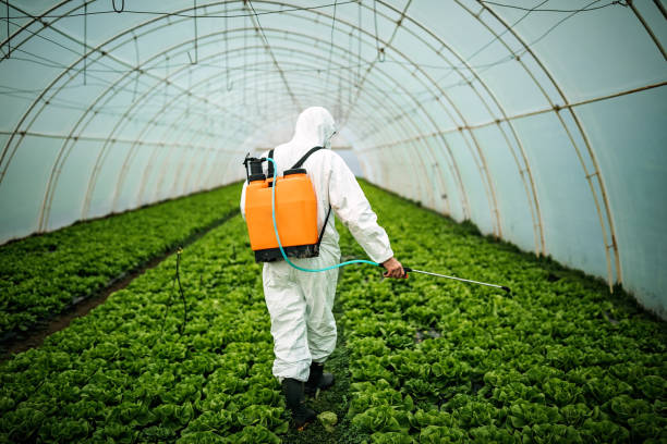 Best Emergency Pest Control  in Roosevelt, UT