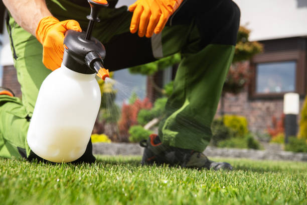 Professional Pest Control in Roosevelt, UT