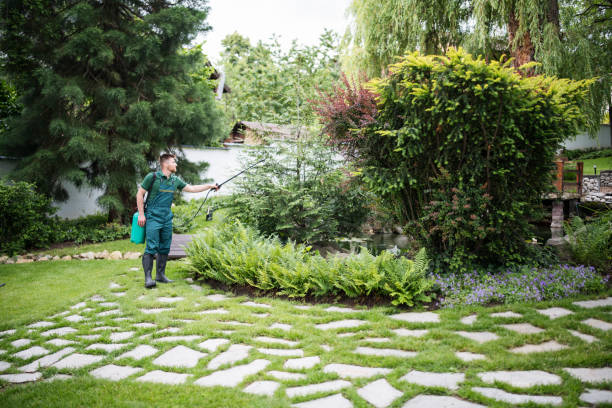 Best Residential Pest Control  in Roosevelt, UT