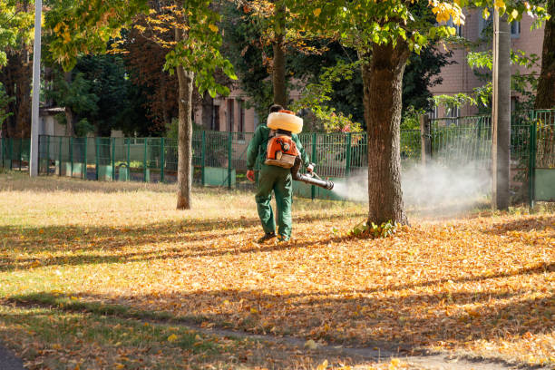Best Best Pest Control Companies  in Roosevelt, UT