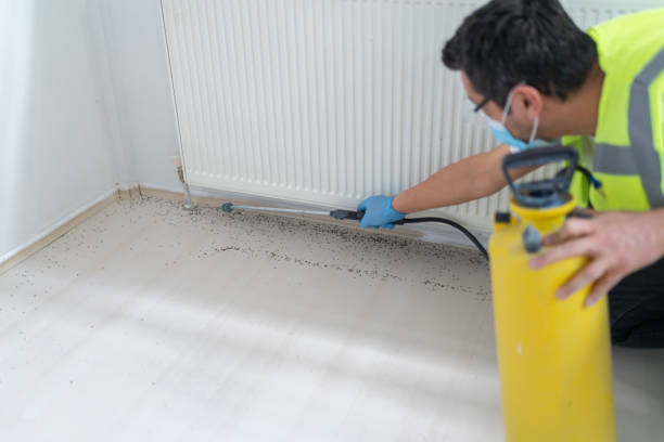 Best Affordable Pest Control Services  in Roosevelt, UT